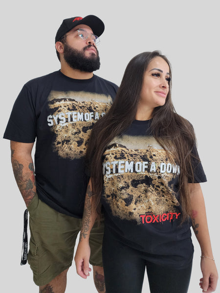 専用ですので他の方は購入しないでください。SOAD Toxicity Tシャツ 20250124_082843_45d0d109-5373-