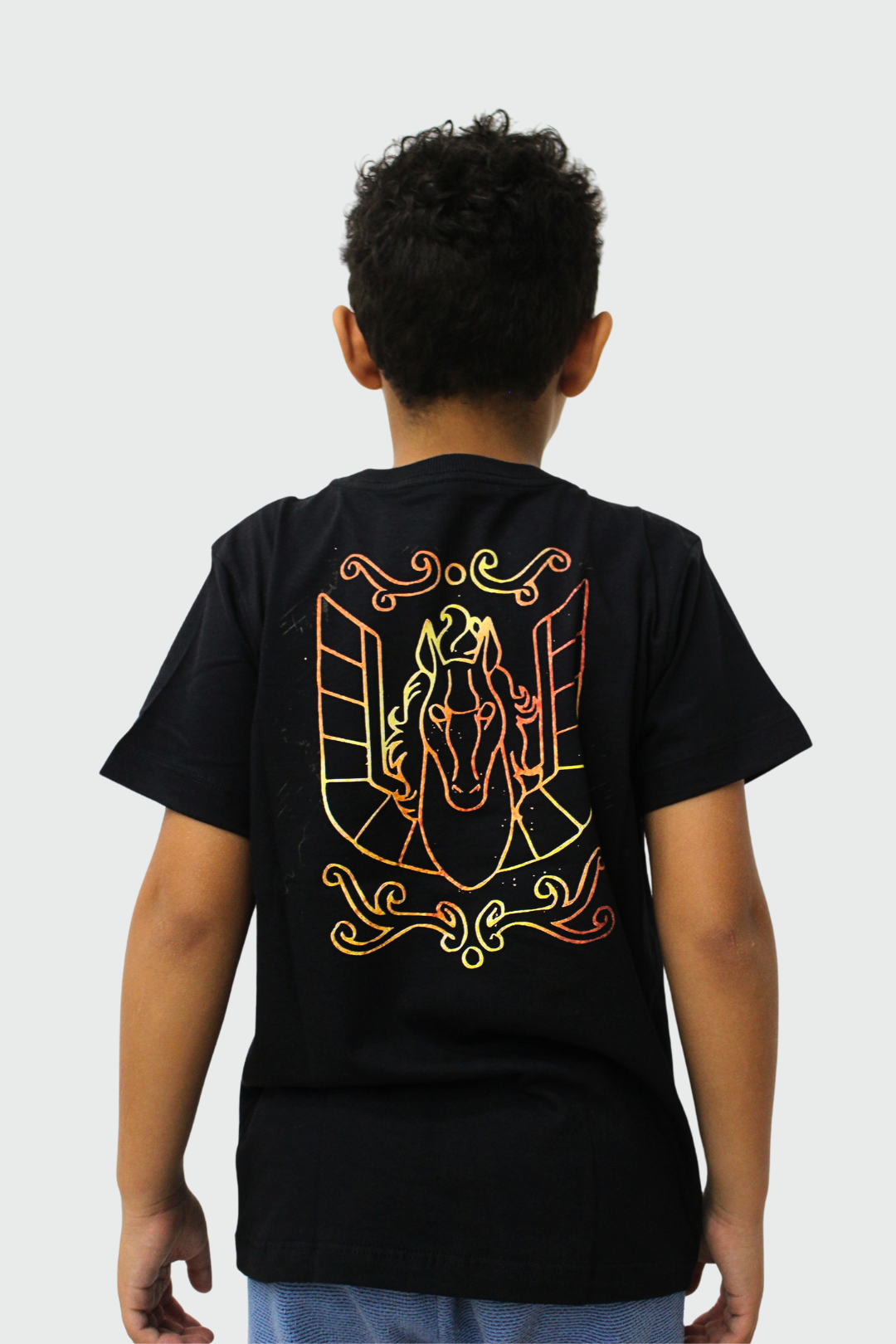 Camiseta Manga Curta Infantil Edu Falaschi Pegasus